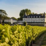 Balade à cheval bordeaux : itinéraires et centres équestres à découvrir