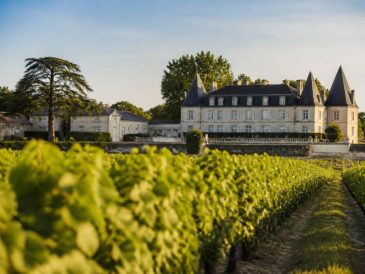 oenotourisme Bordeaux : les meilleures expériences à vivre au cœur des châteaux