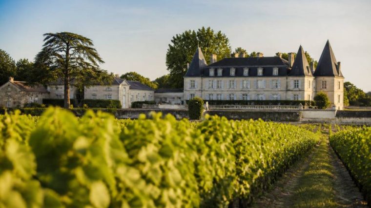 oenotourisme Bordeaux : les meilleures expériences à vivre au cœur des châteaux