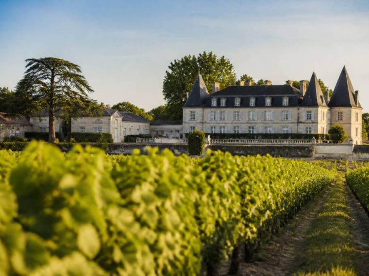 oenotourisme Bordeaux : les meilleures expériences à vivre au cœur des châteaux