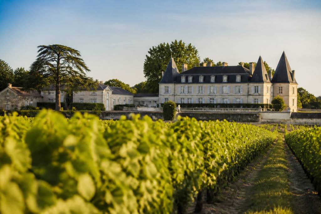 oenotourisme Bordeaux : les meilleures expériences à vivre au cœur des châteaux