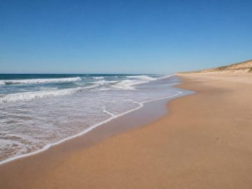 Lacanau : l'océan et les vagues, le guide pour profiter de la côte atlantique