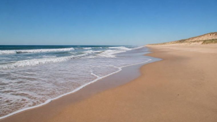 Lacanau : l'océan et les vagues, le guide pour profiter de la côte atlantique