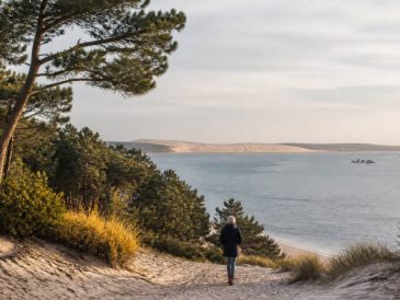 Découvrir Arcachon en hiver : les plus belles idées de balade et de séjour