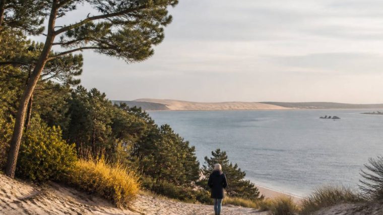 Découvrir Arcachon en hiver : les plus belles idées de balade et de séjour